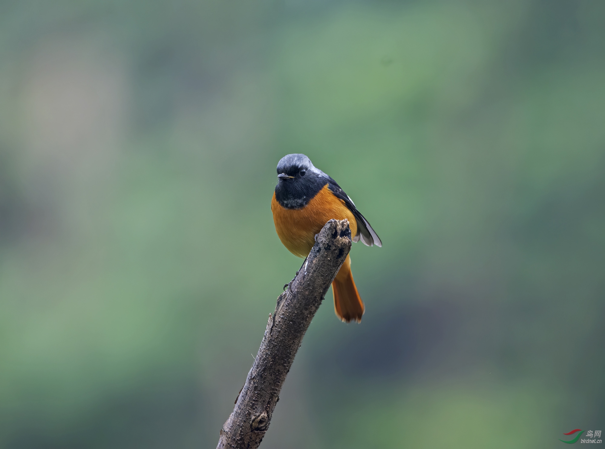DSC_9997.jpg
