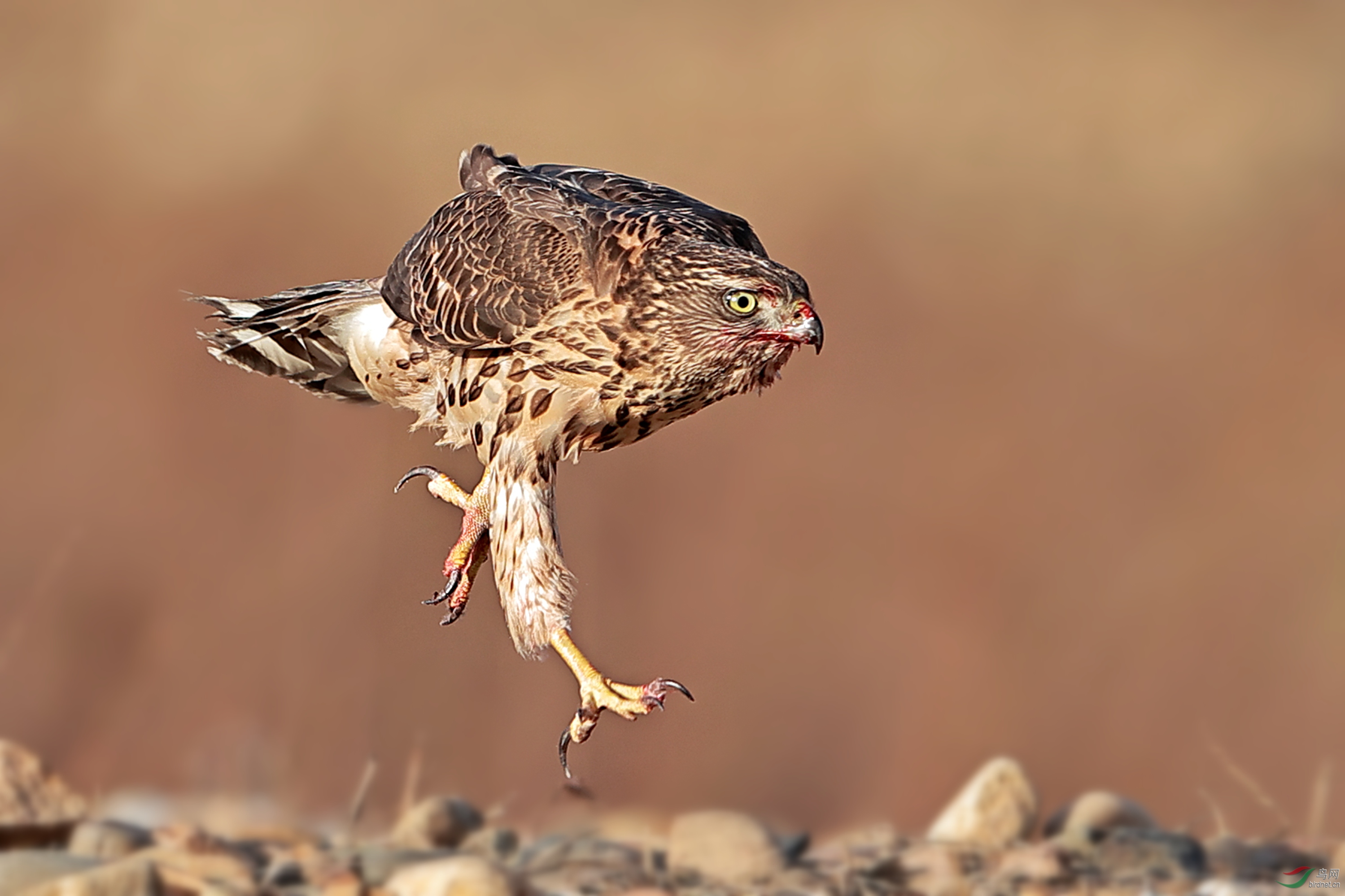 CO8I7948_����.jpg