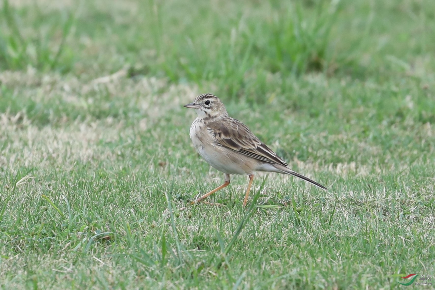 BL7A0810.jpg