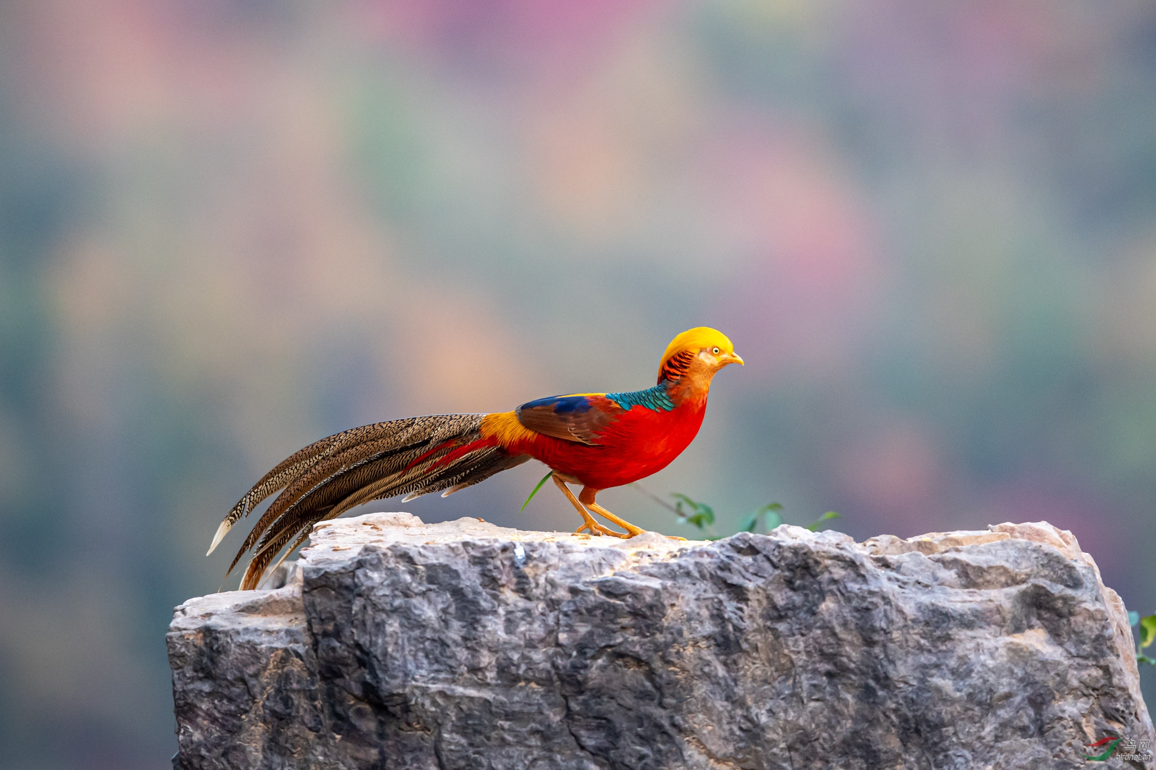 DSC_3583-1.jpg