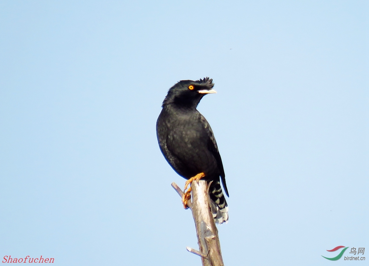 IMG_6724.JPG