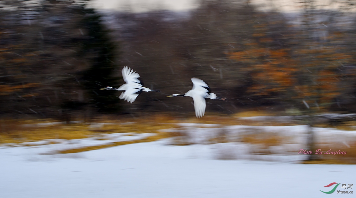 DSC_8645.jpg