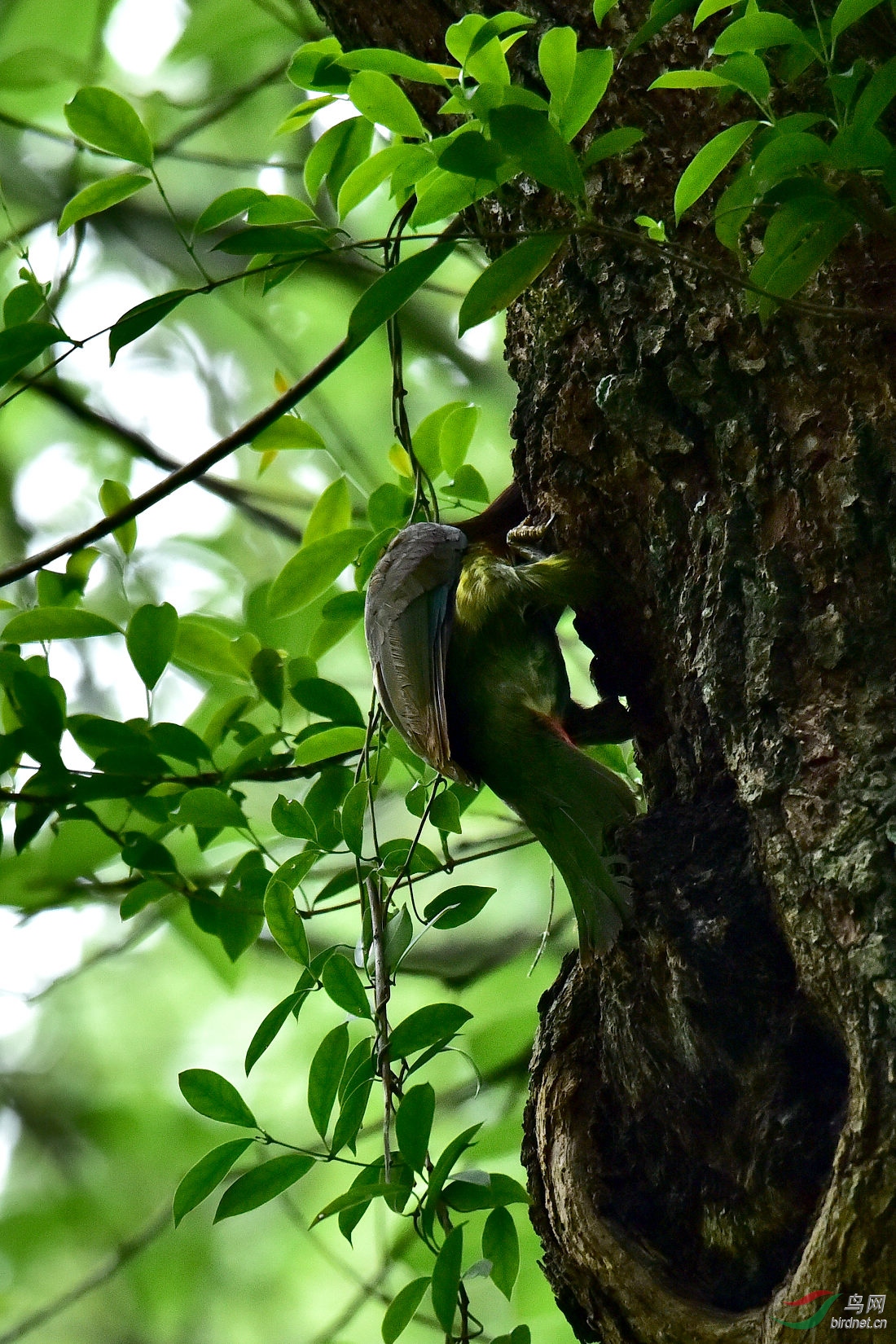 DSC_0094.JPG