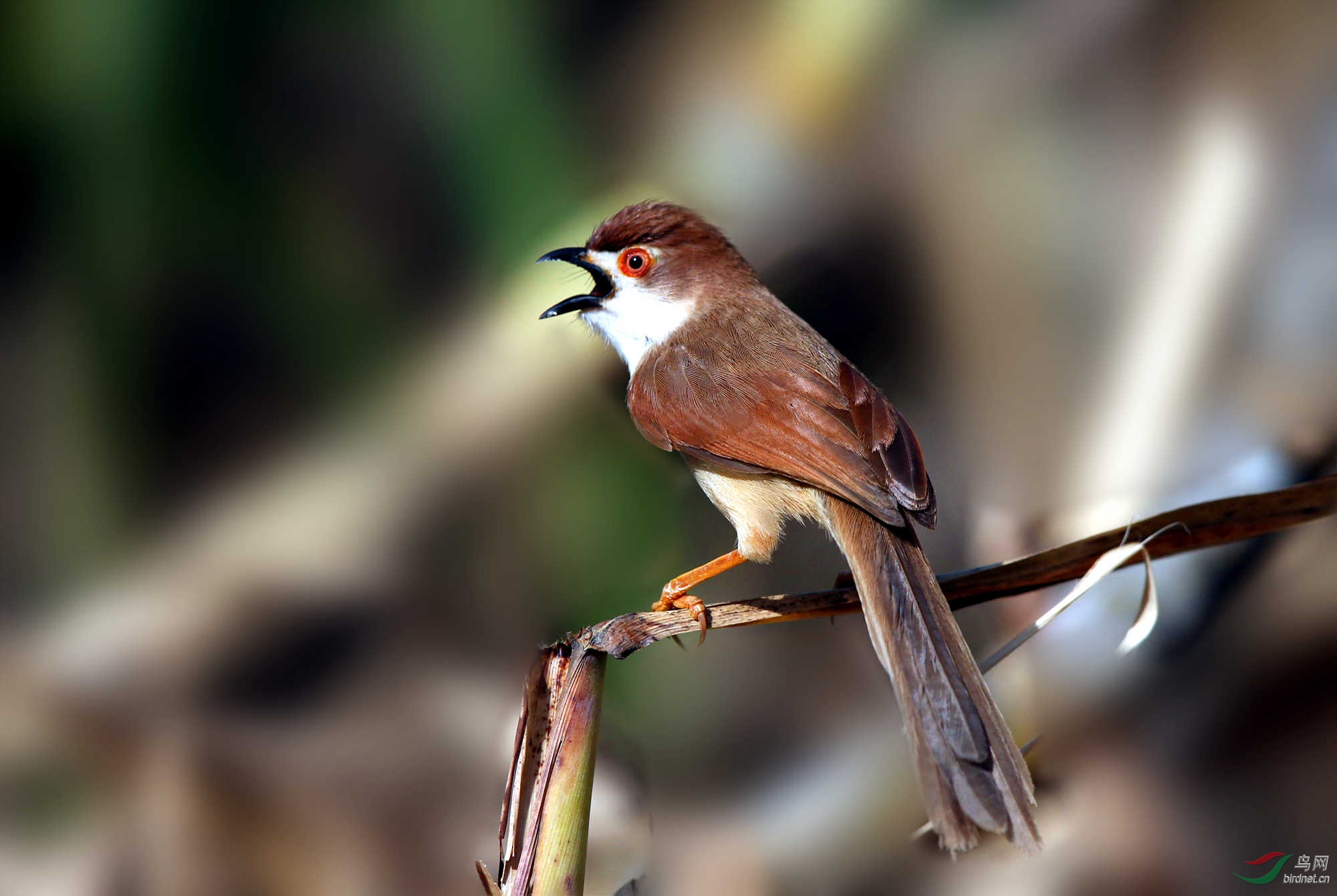 H46R0813_����_���� (2).jpg