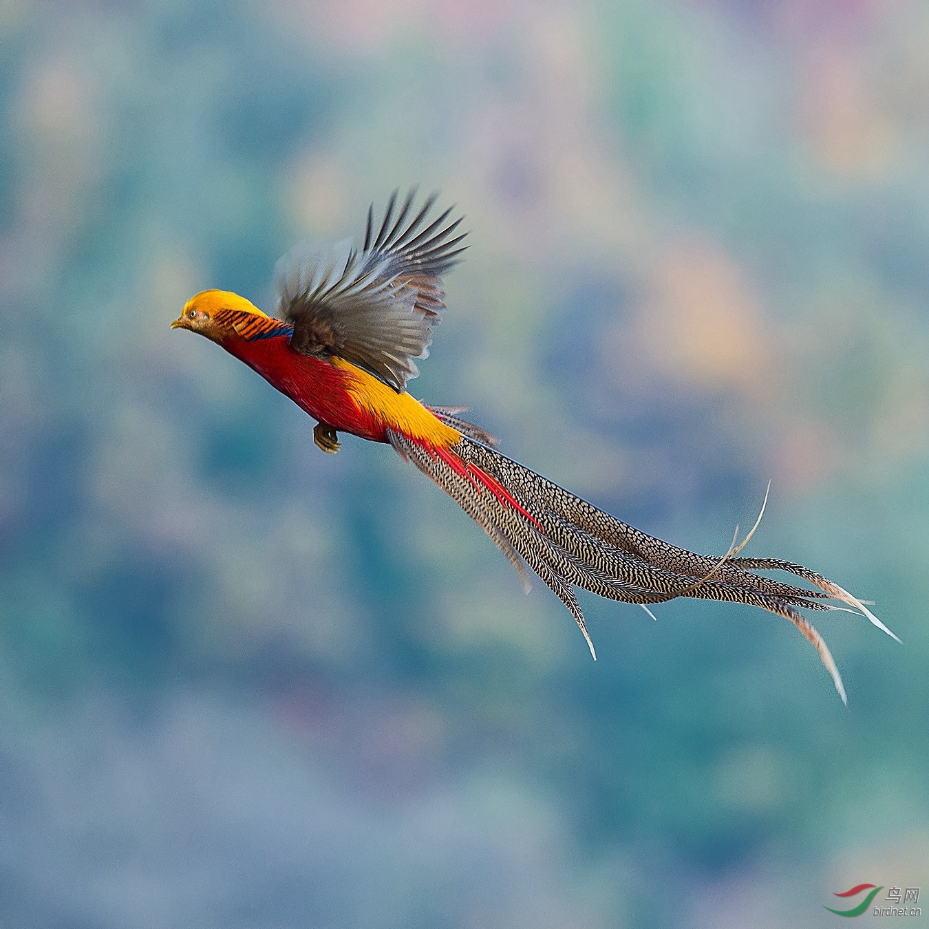 XCG_8634 - ����.jpg