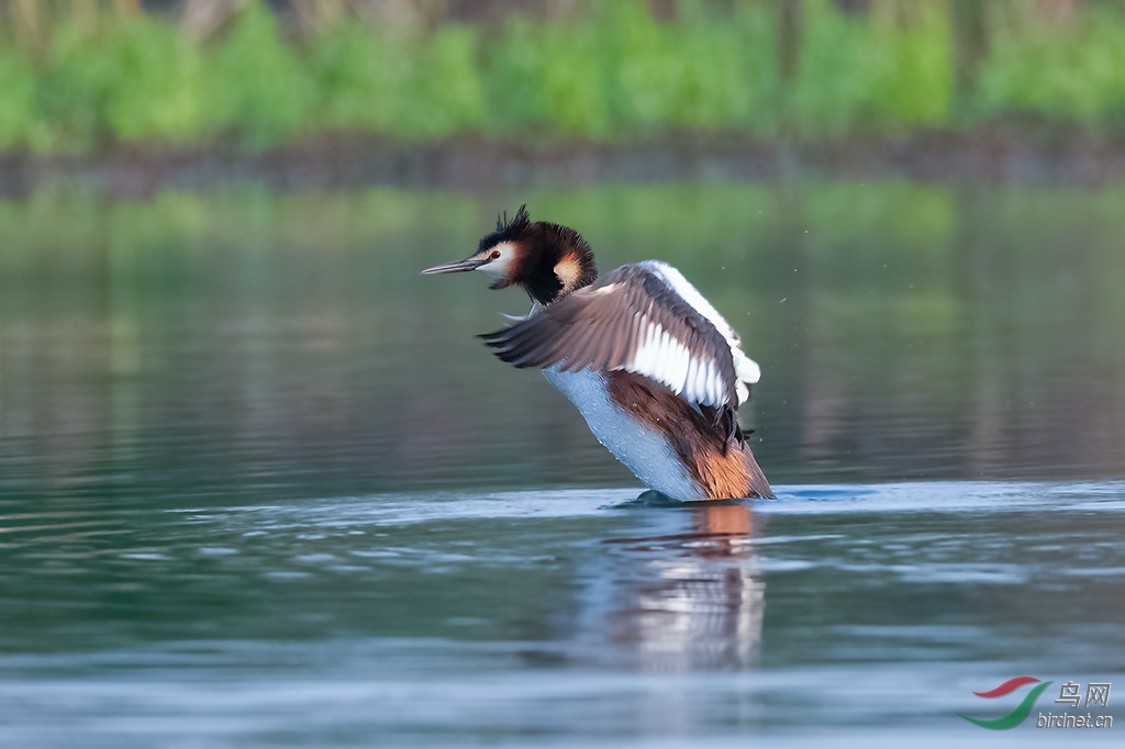 DSC_5291_DxOa.jpg