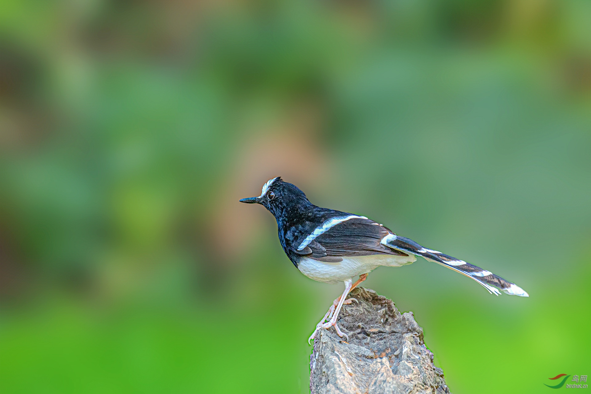 DSC_7871.jpg