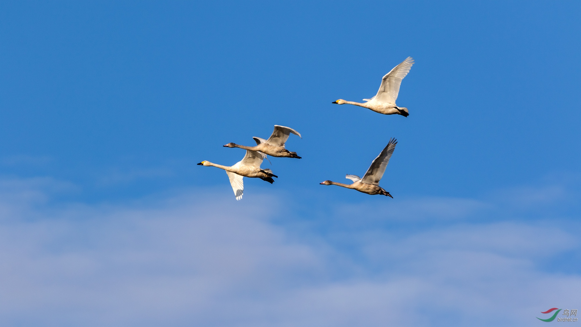 DF7A7661���������ϰ���Ʈ.jpg