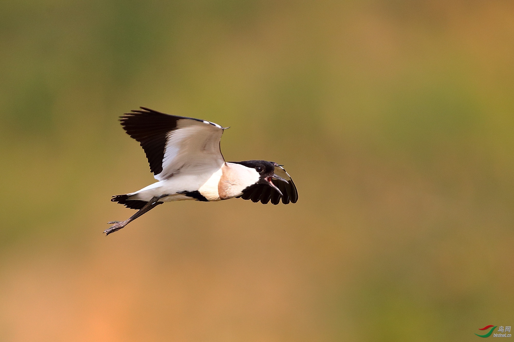 ��չ���� ��ʦ����������ʡ�º���徰����������ӯ����.jpg