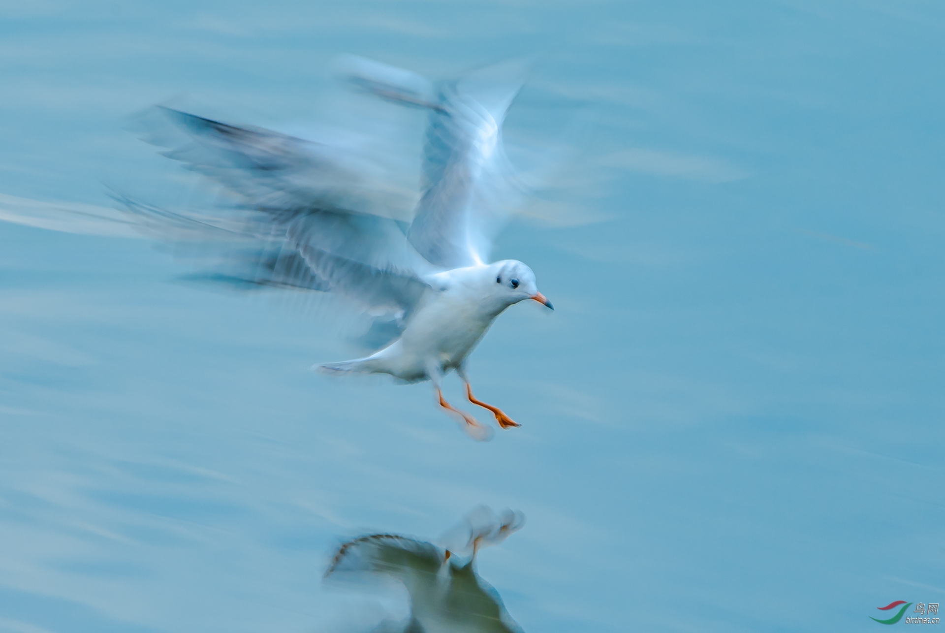 DSC_5590.jpg