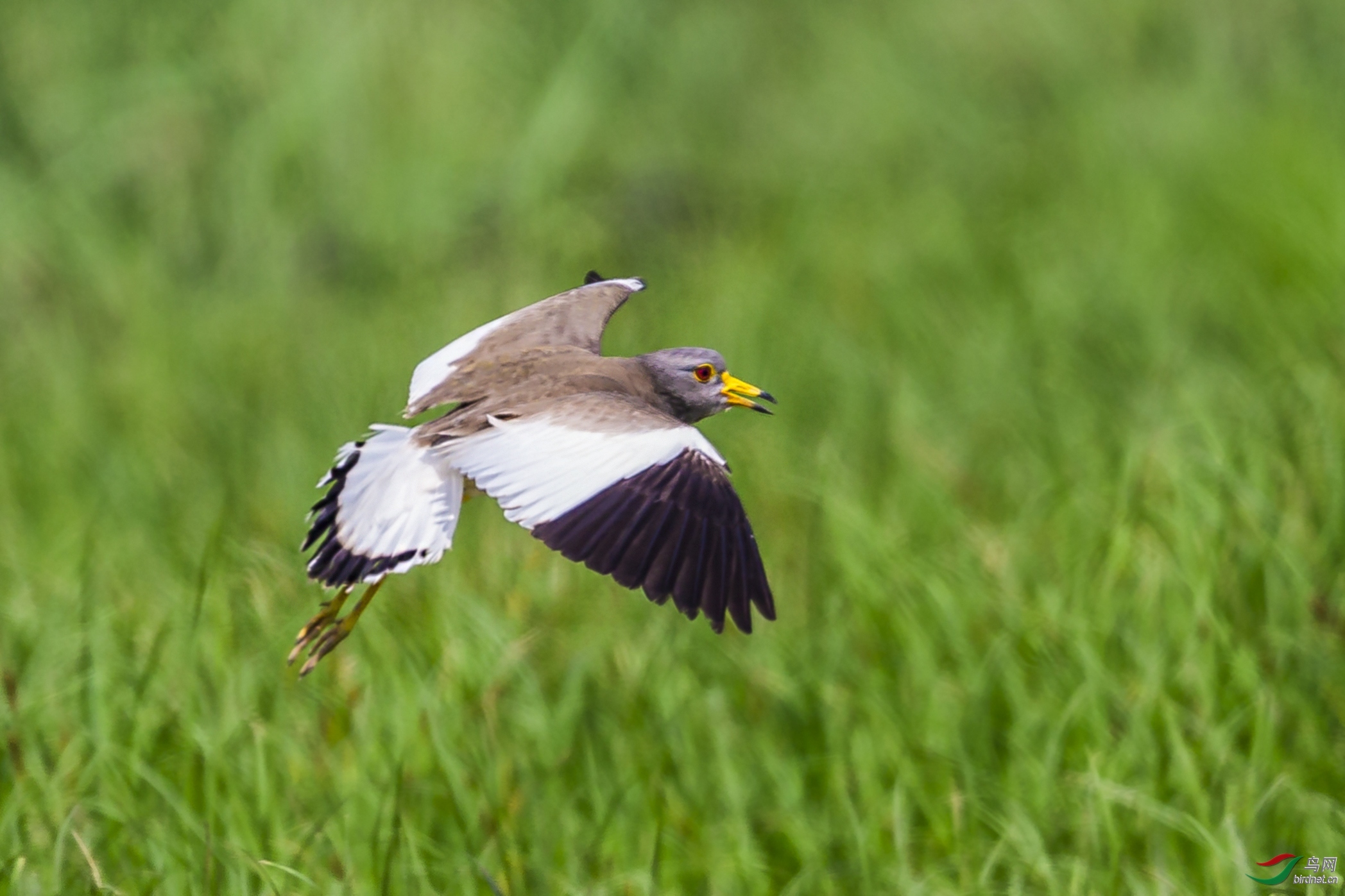 �׷�Ϧ�� ��ʦ�������㽭ʡ������.jpg