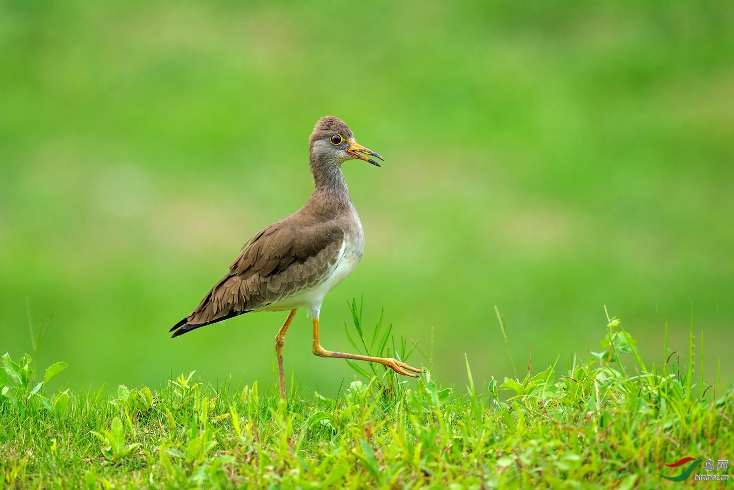 ��Ƥ���� ��ʦ�������Ͼ���ˮ��ʪ�ع�԰.jpg