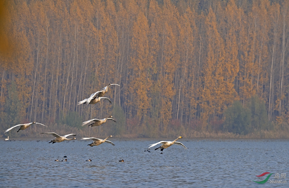 _DSC8835c.jpg