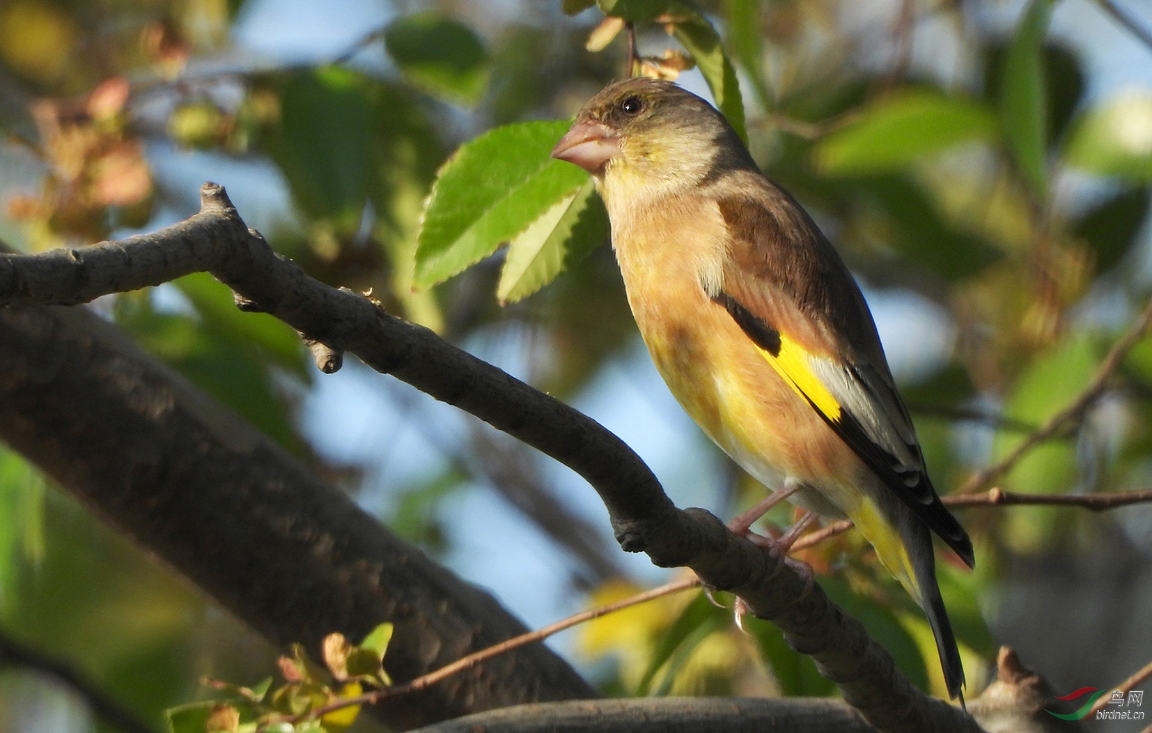 DSCN1796 ����.jpg