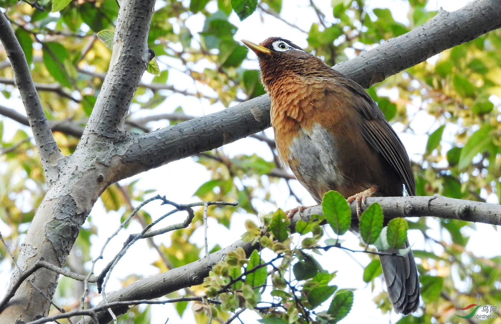 DSCN1826 ����.jpg