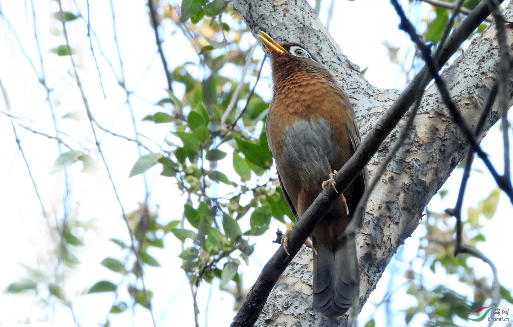 DSCN1814 ����.jpg