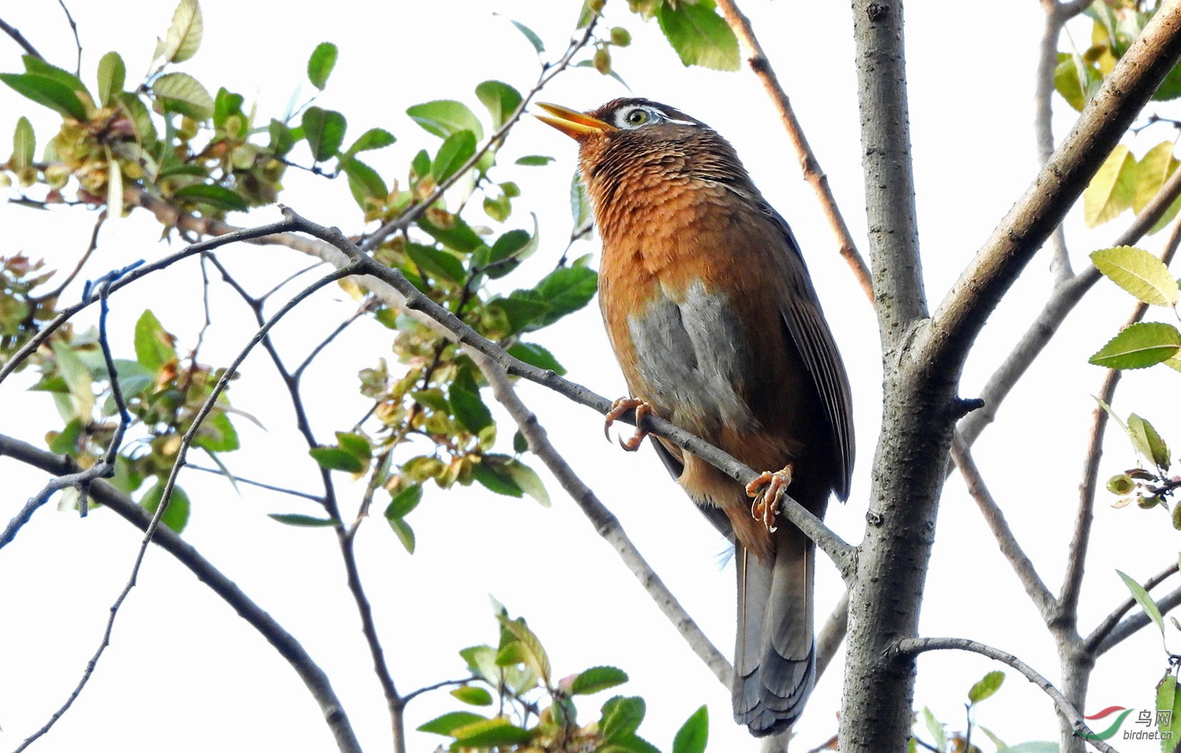 DSCN1821 ����.jpg