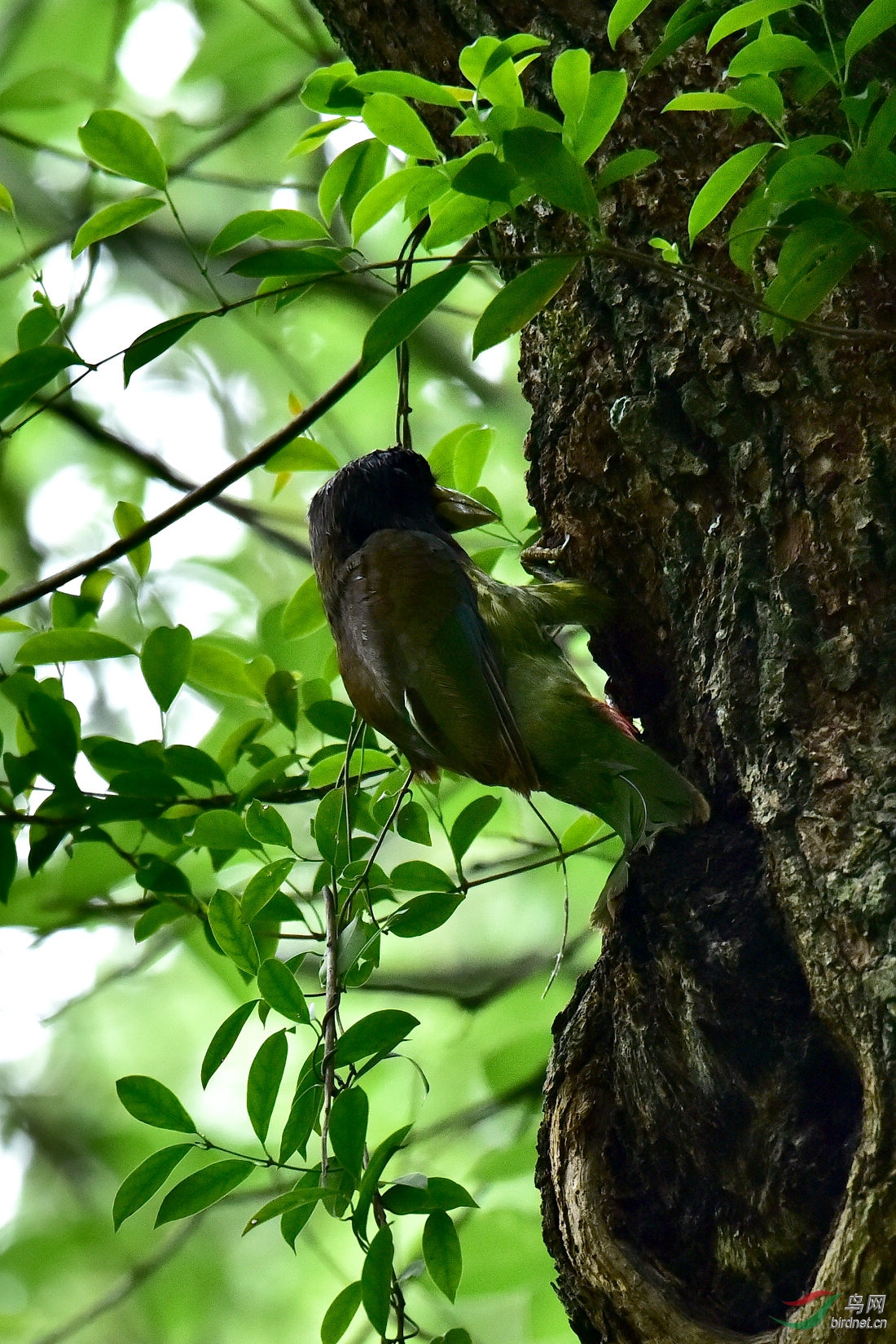 DSC_0095.JPG