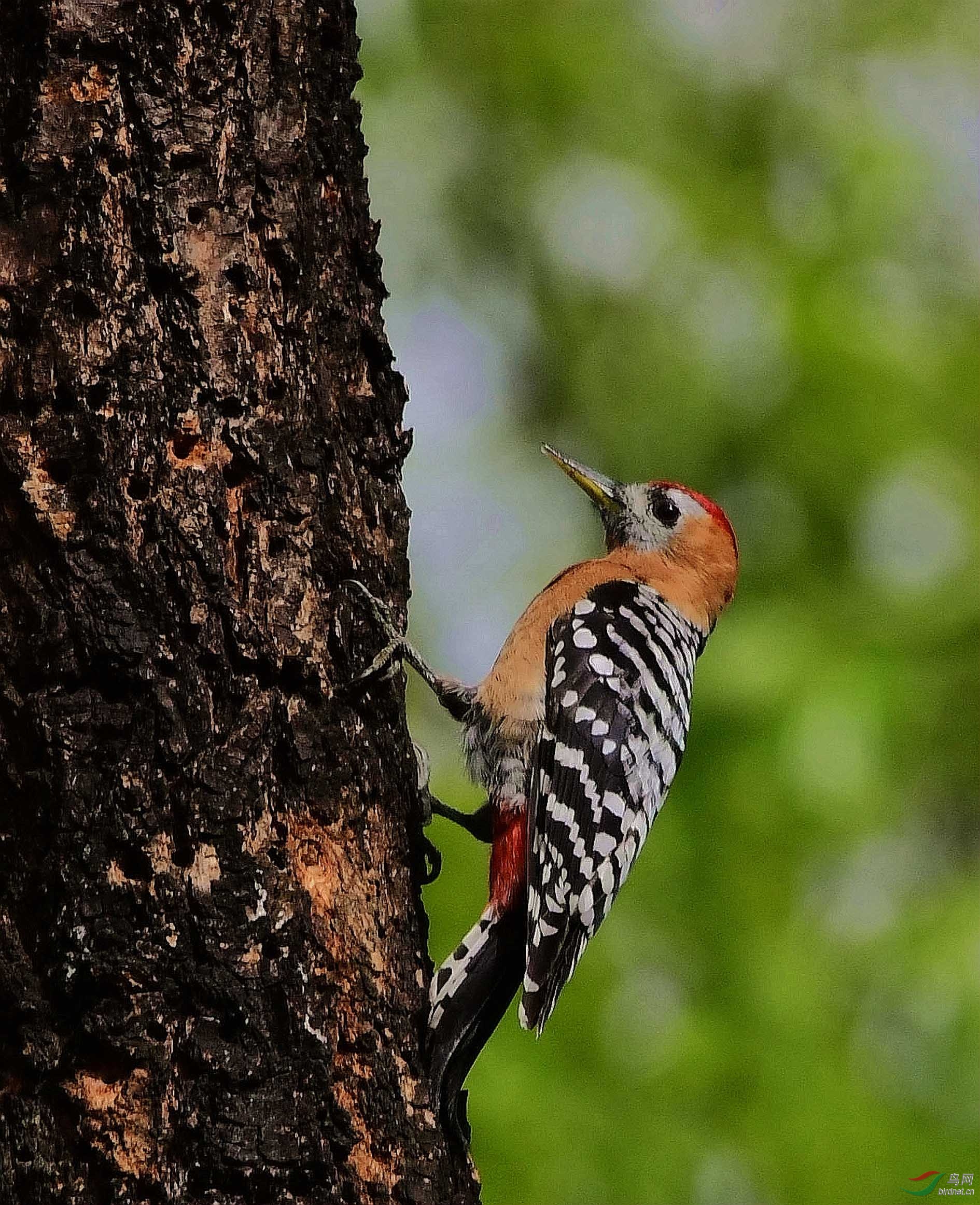 DSC_7604_����.jpg