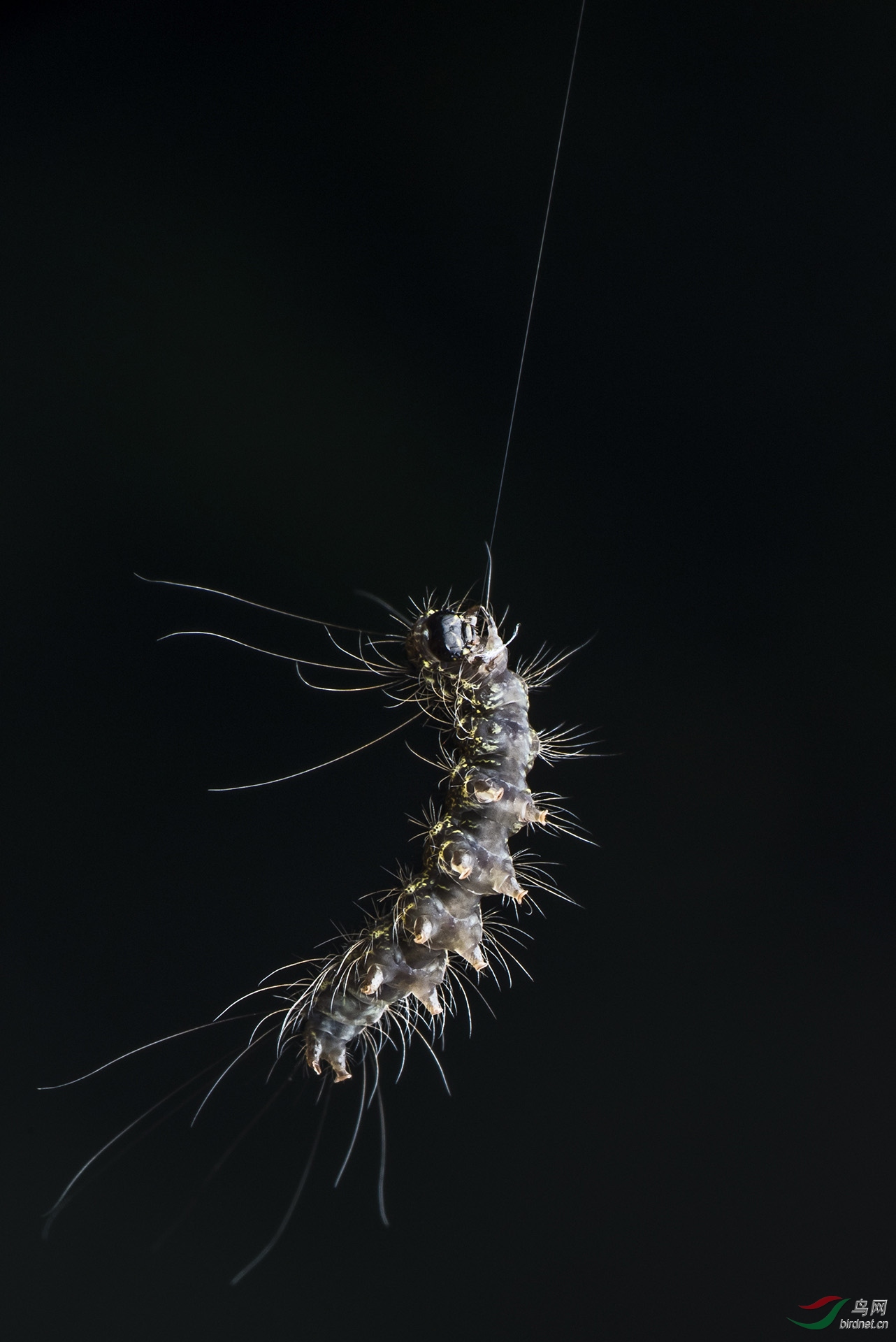 DSC_6413.jpg