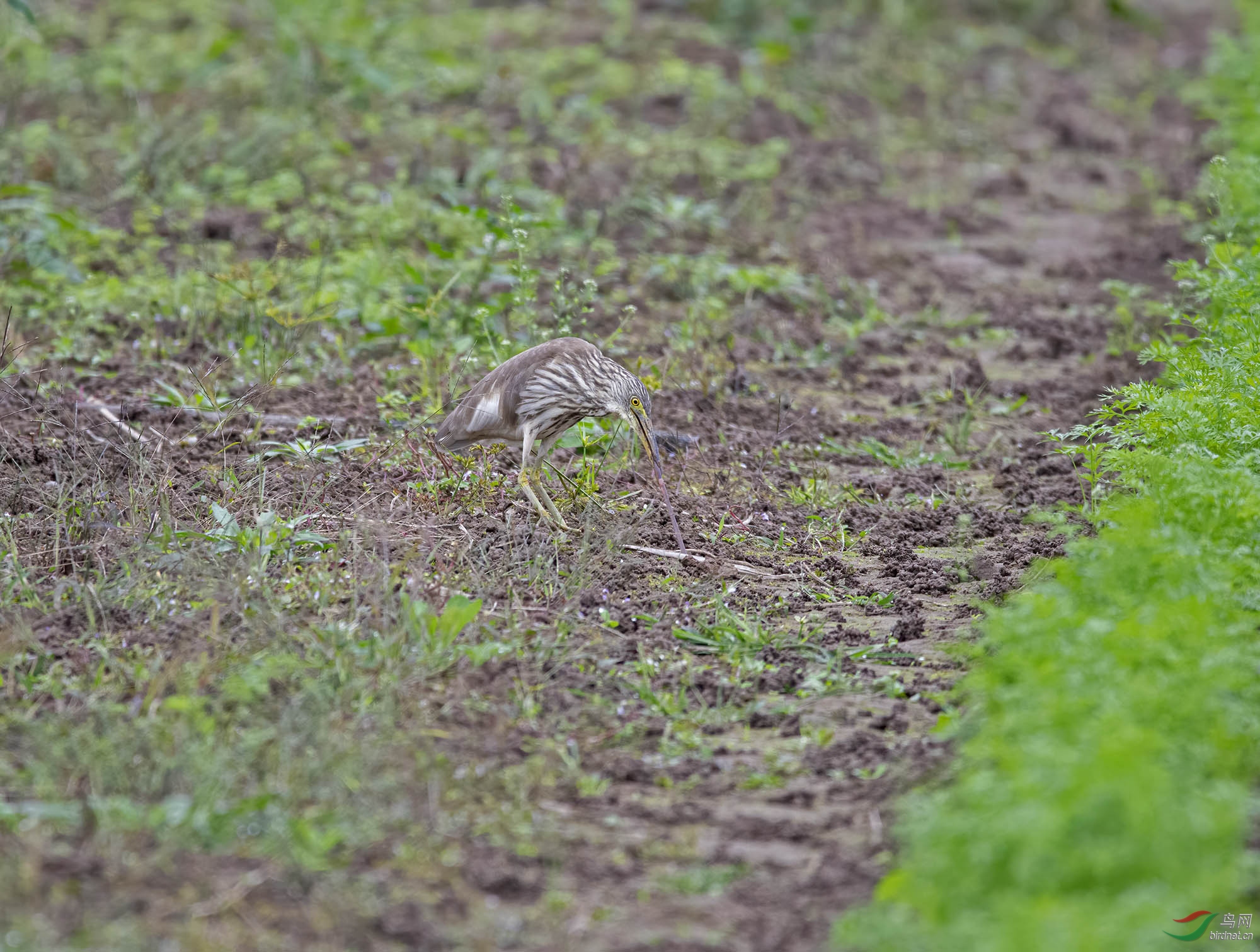 ����Ŀ��