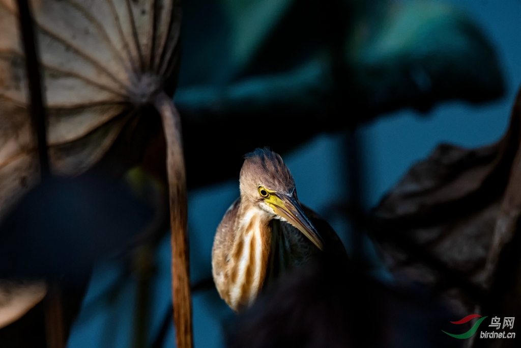 LBW_2749_����.jpg