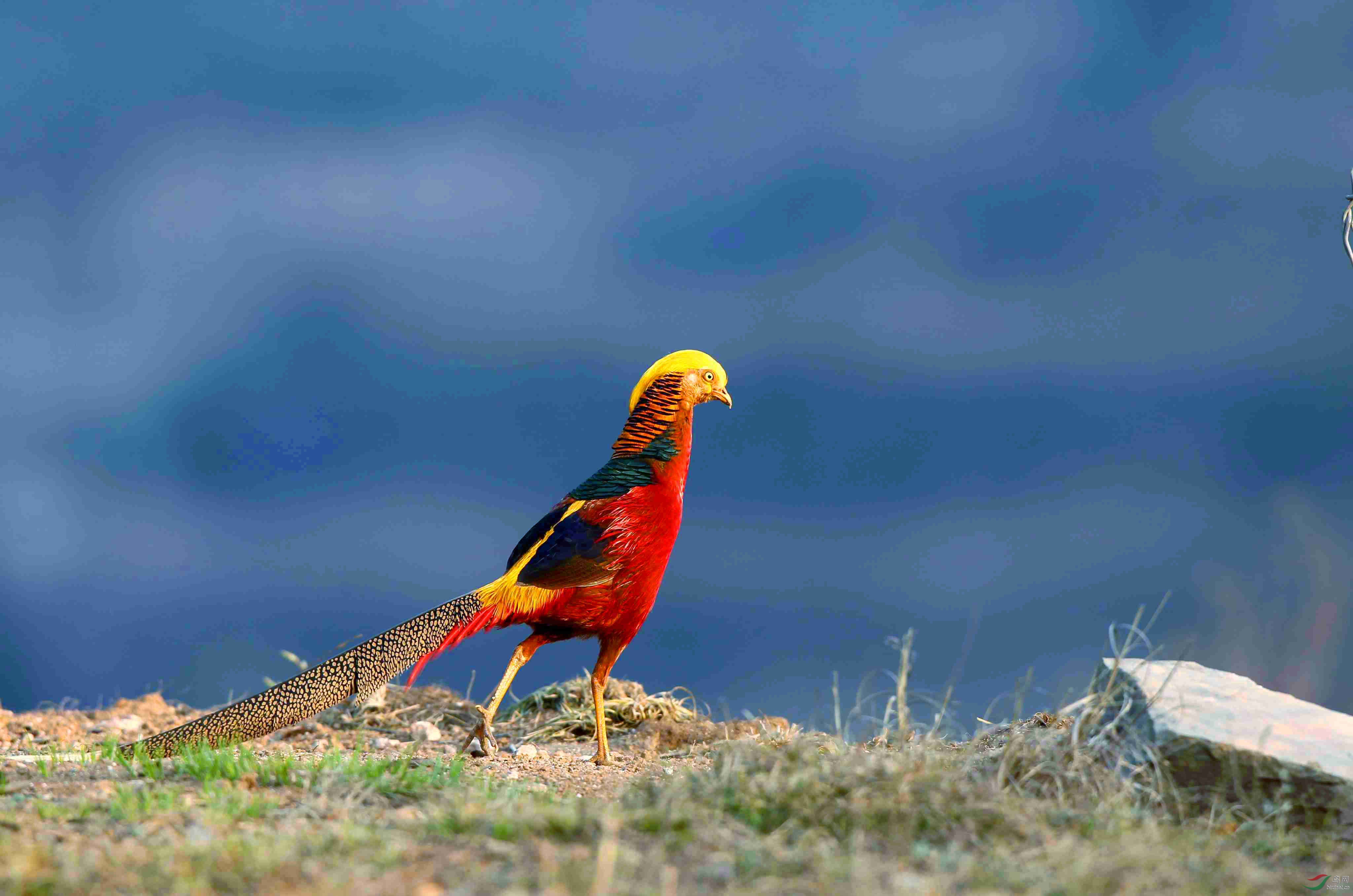 H46R4923_����_���� (2).jpg