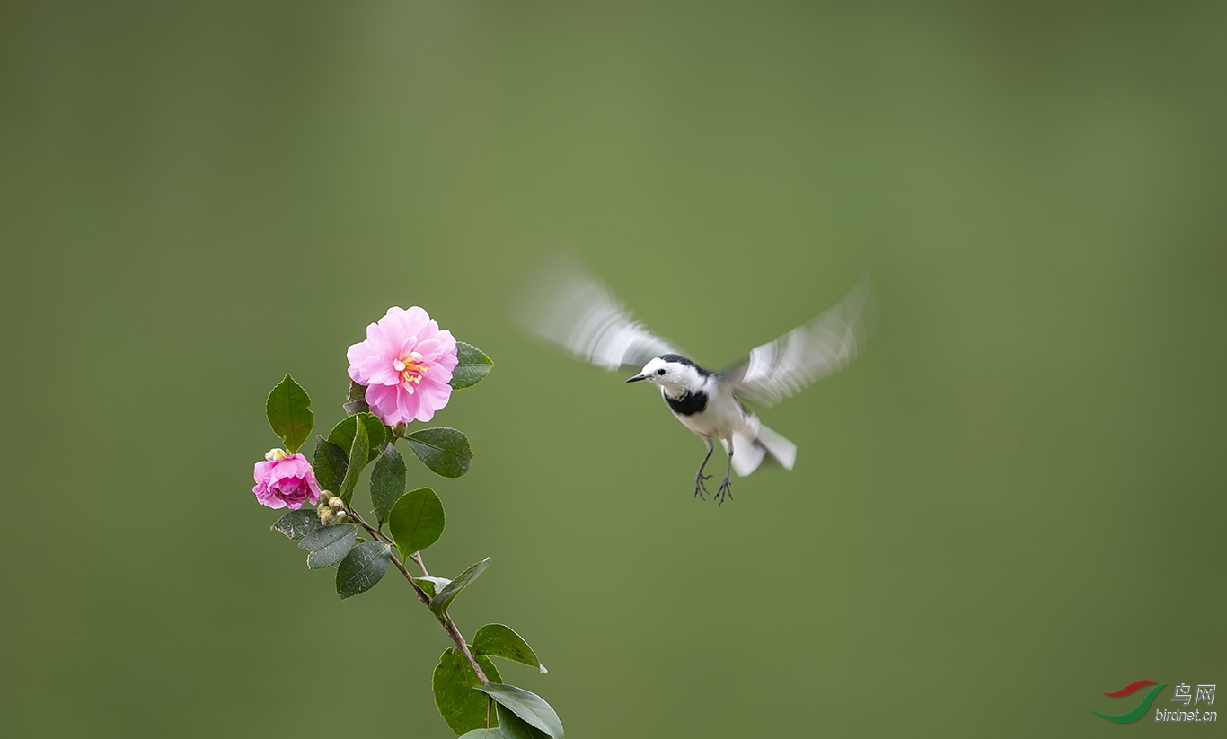 DSC_1859.jpg