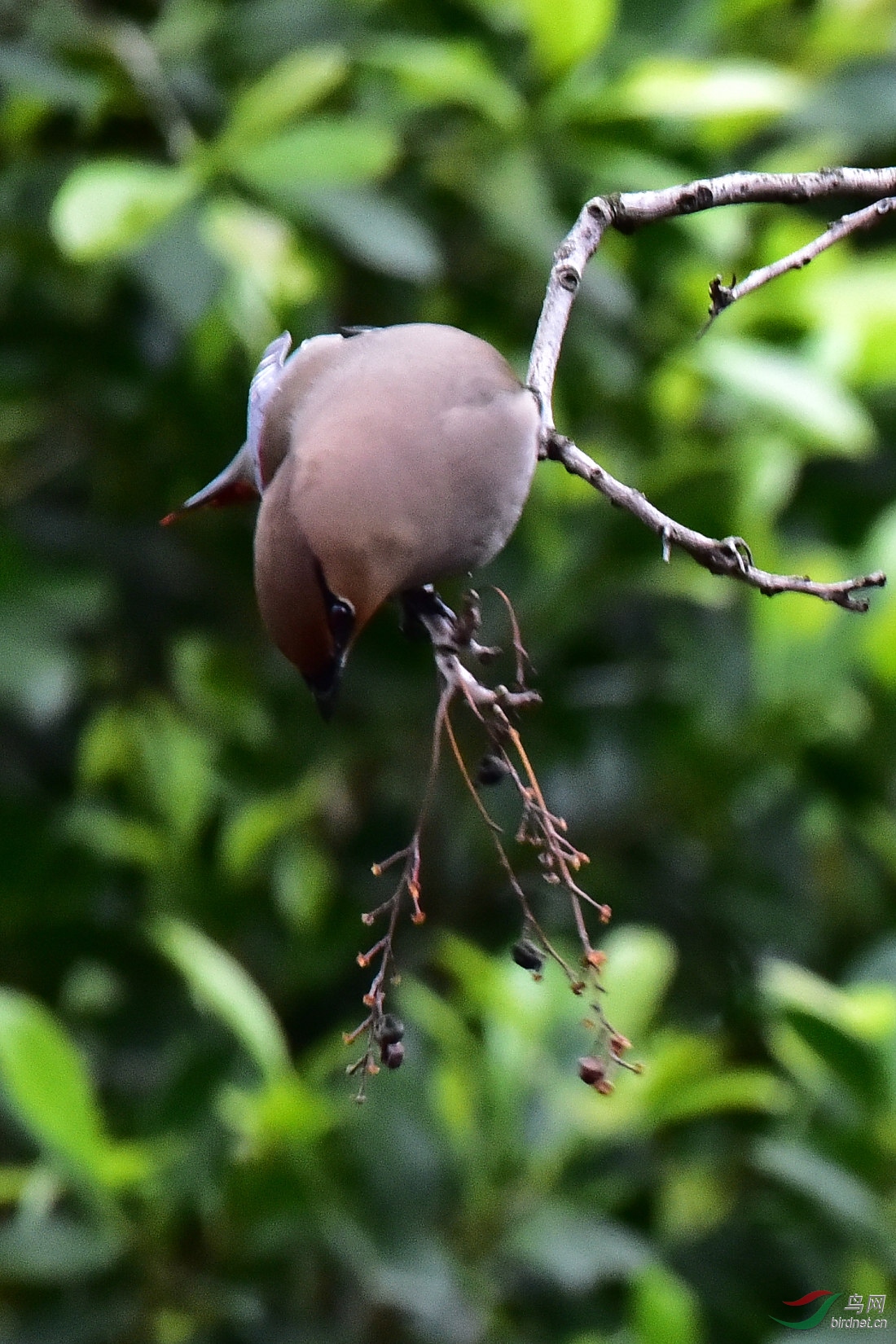DSC_0957.jpg