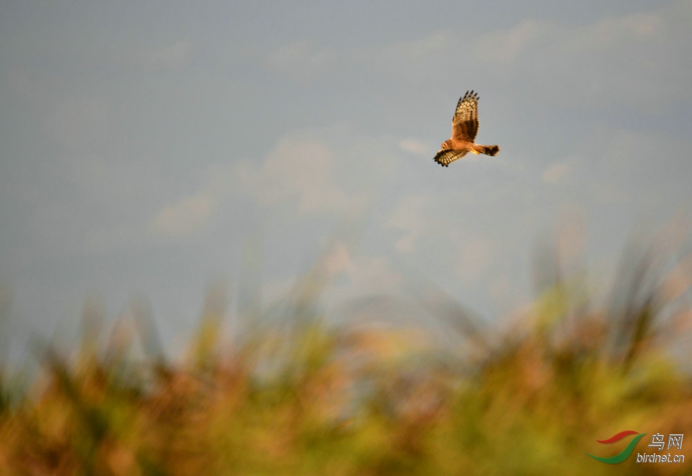DSC_5829.JPG