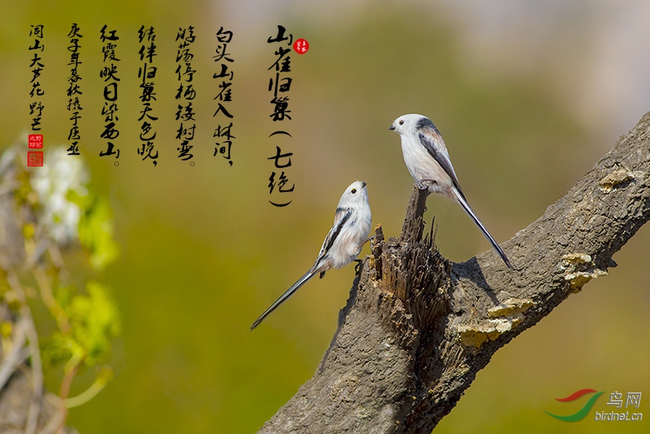 387A870341.jpg