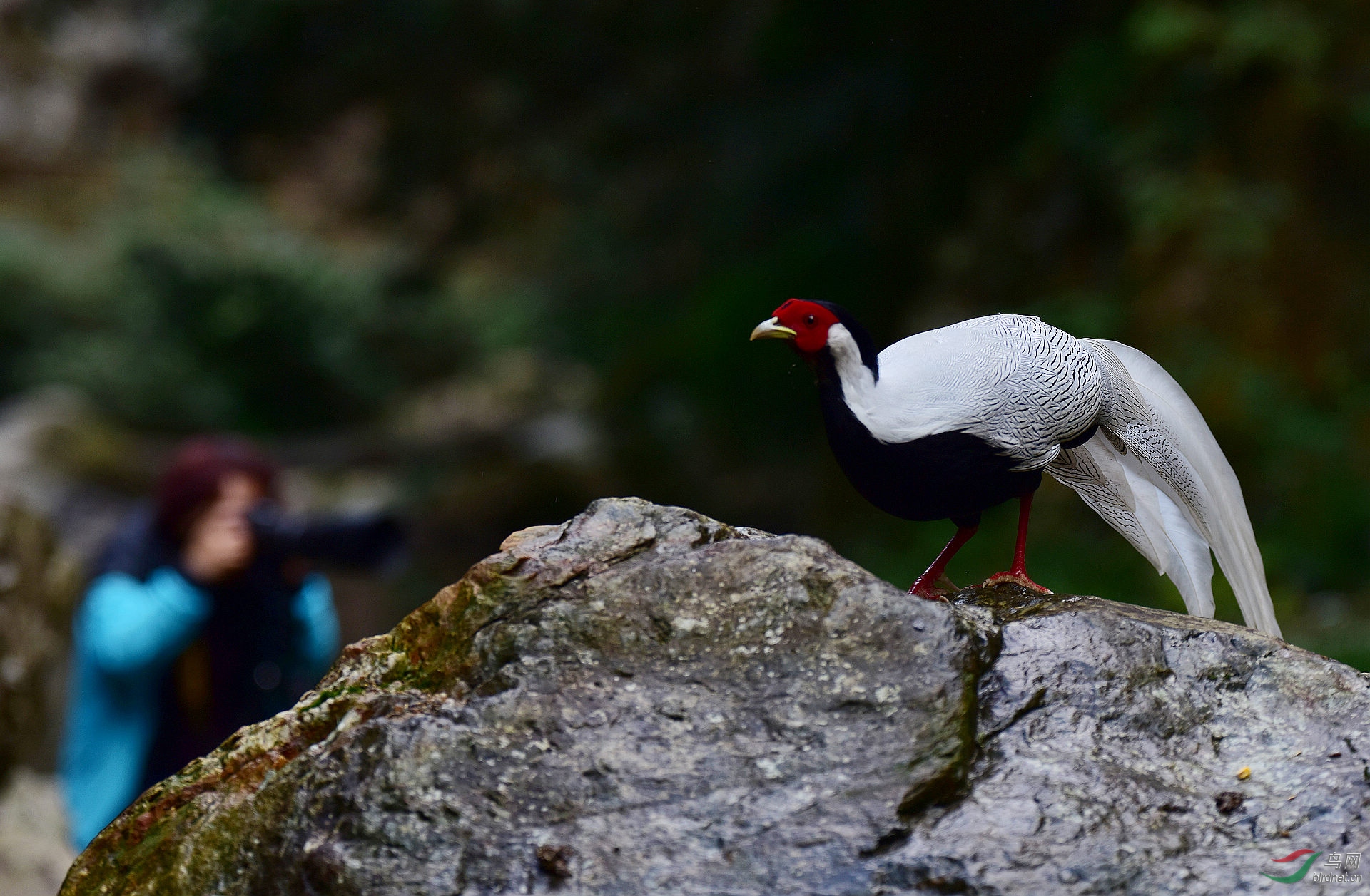 D8I_0704.jpg