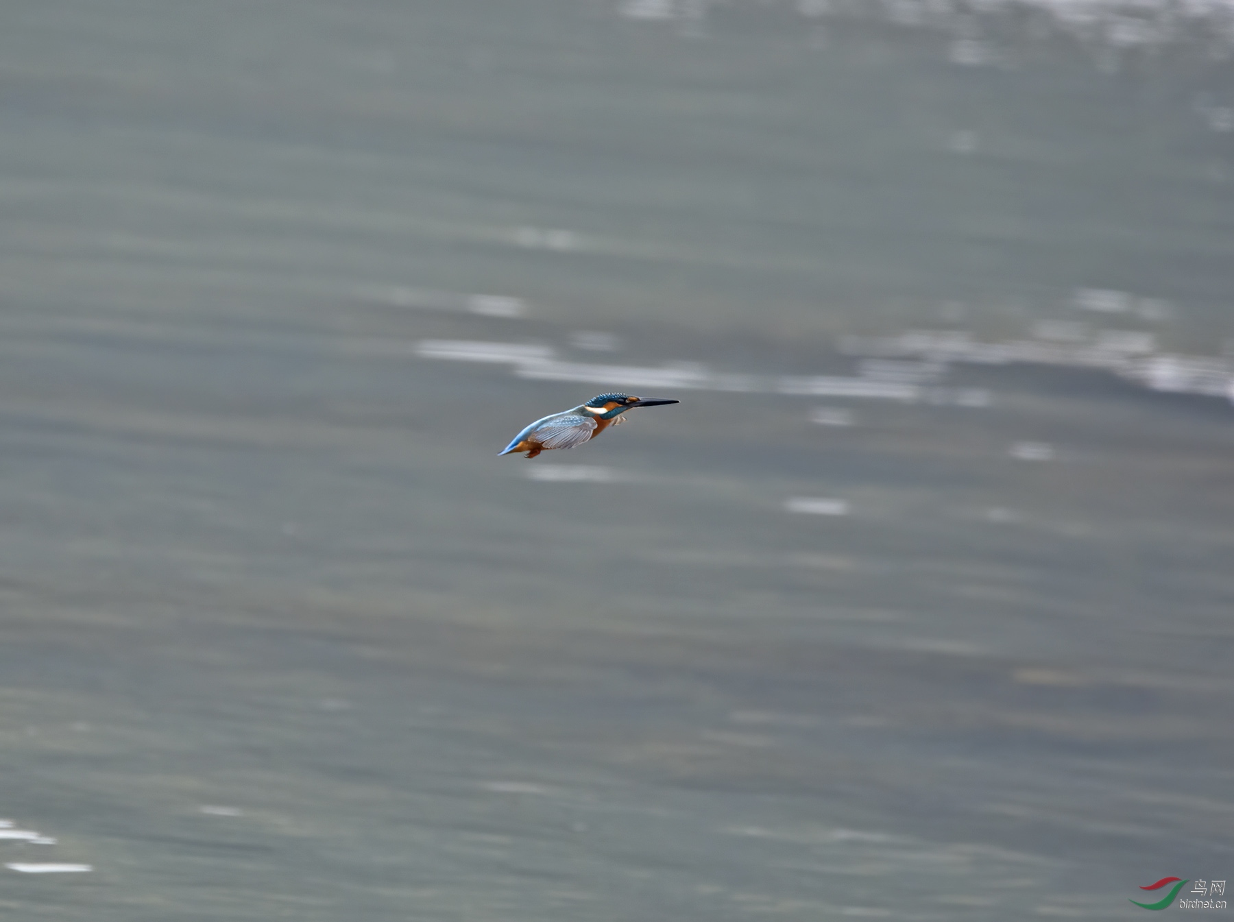 DSC_0831.jpg