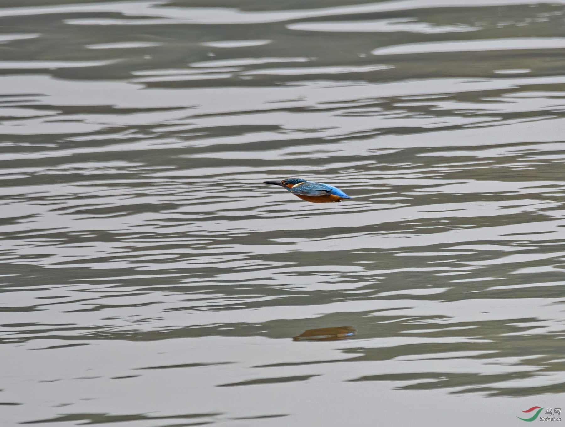 DSC_0842.jpg