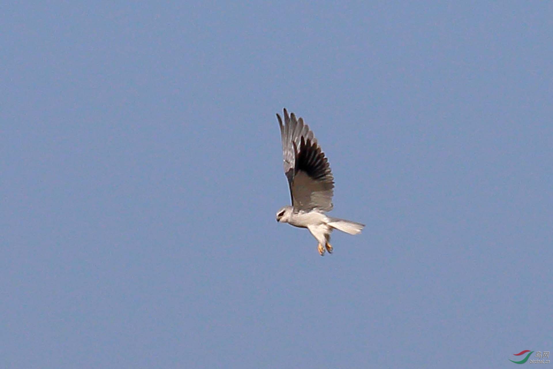 IMG_3969.JPG