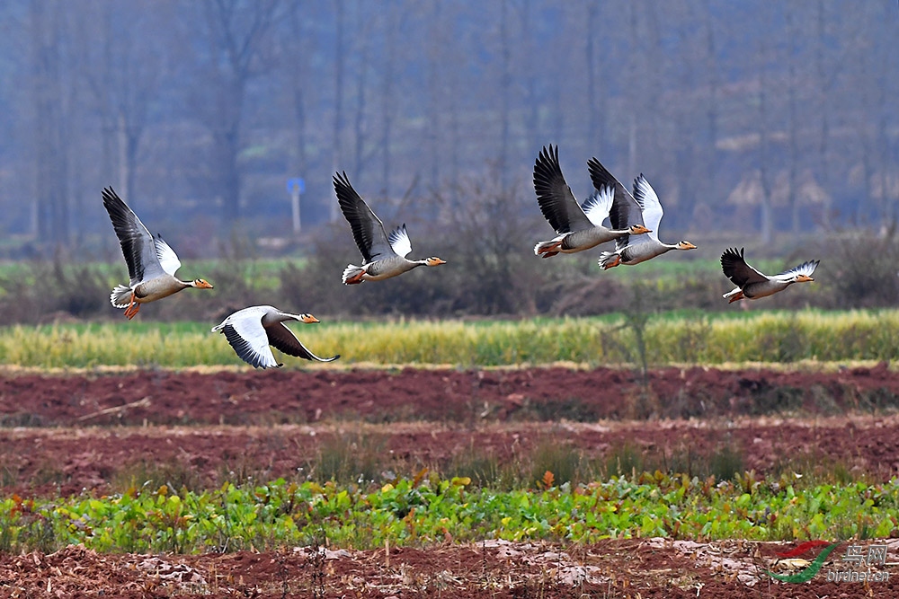 DSC_1054bb.jpg