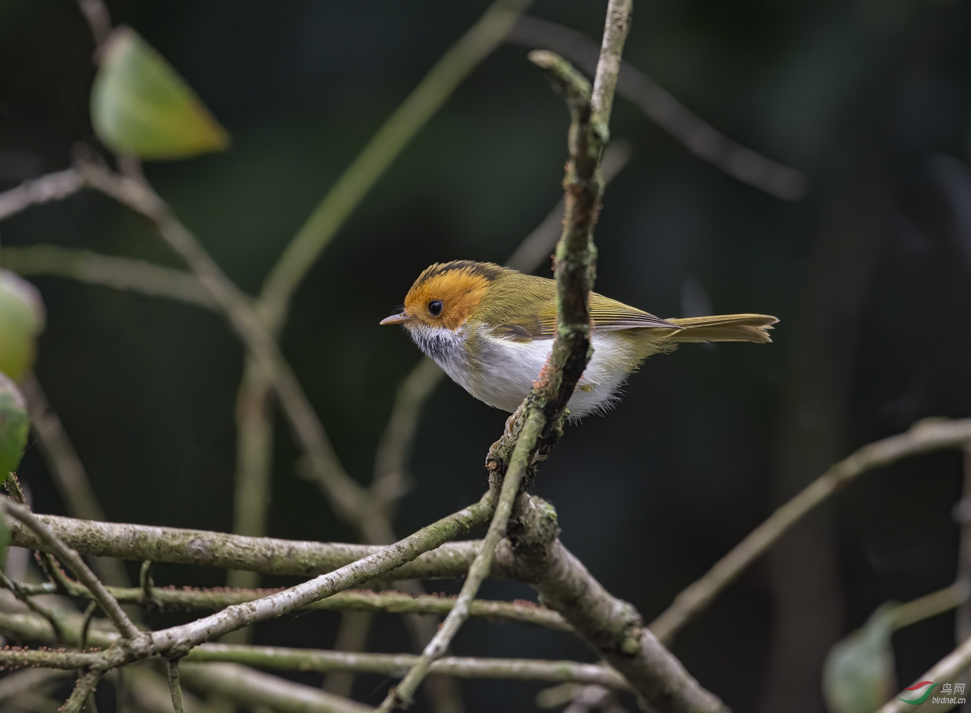 DSC_0712-1.jpg