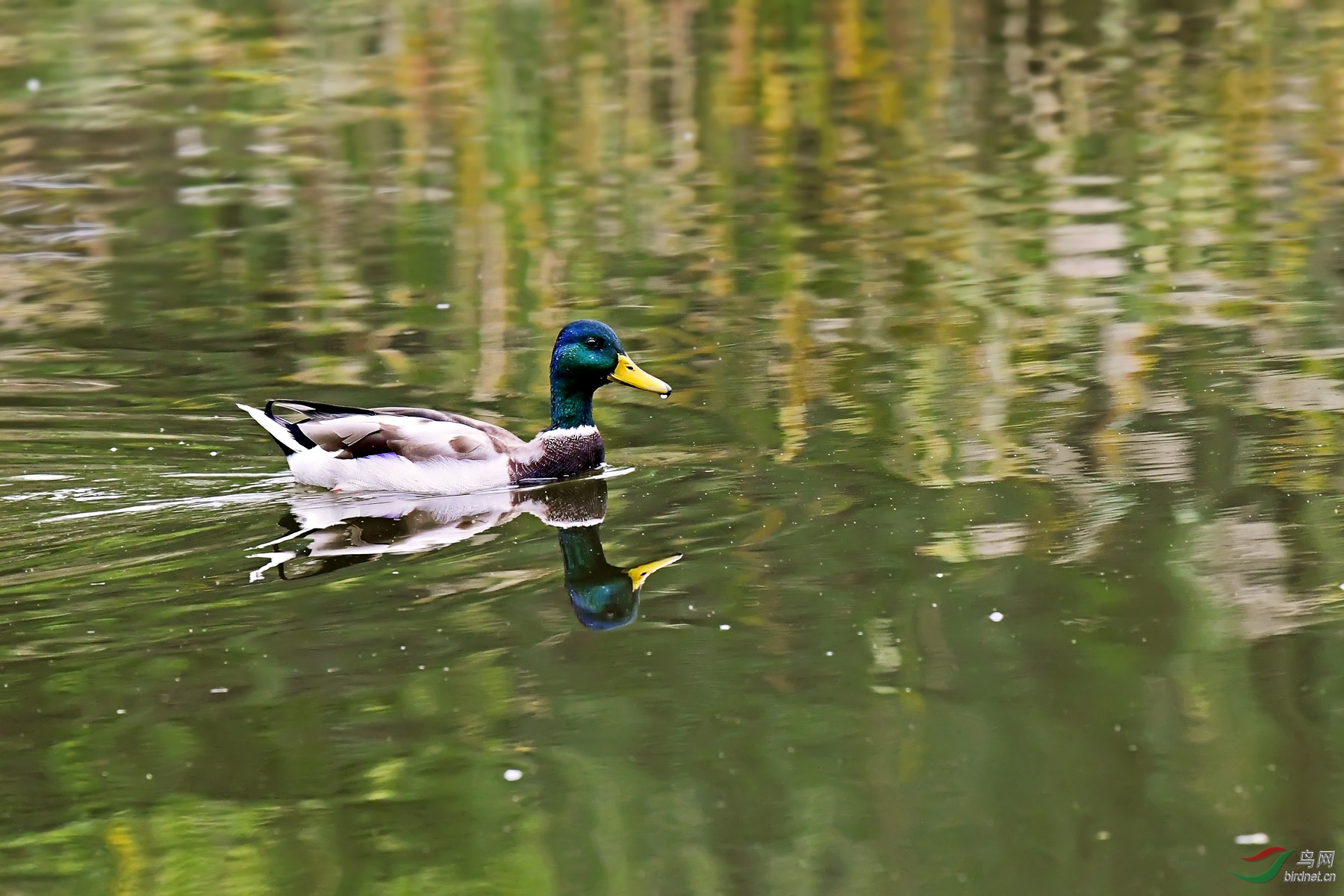 DSC_0548.jpg