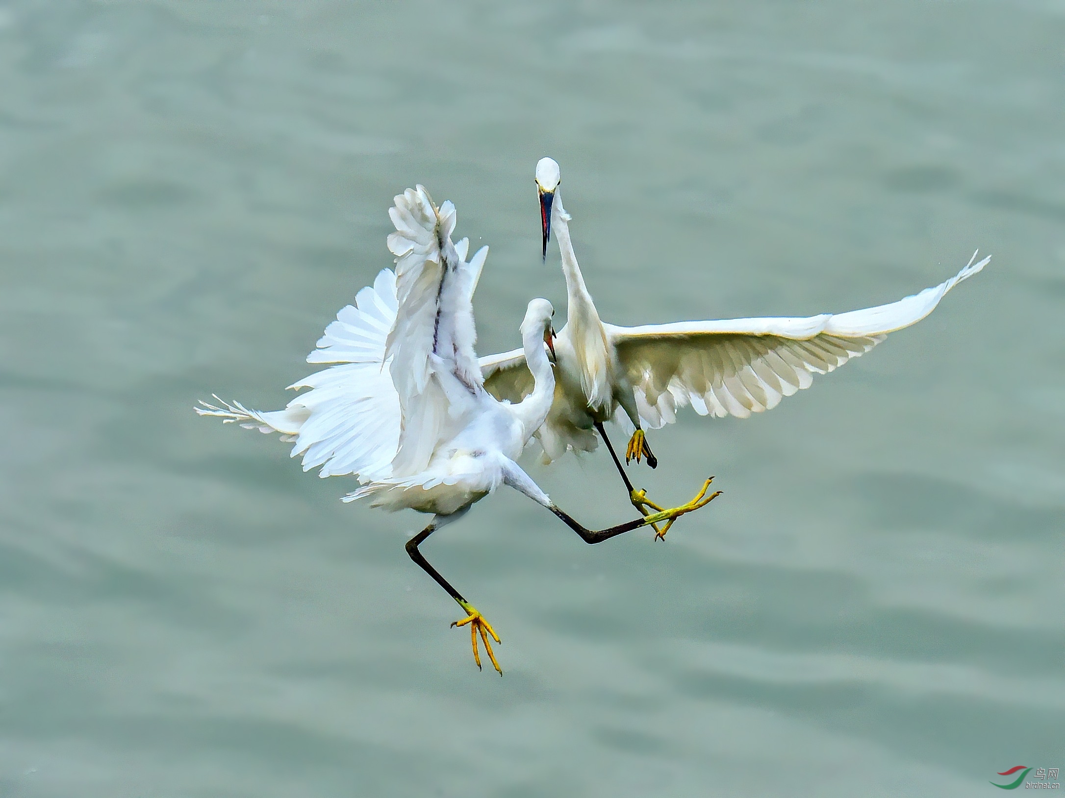 DSC_9244_conew4.jpg