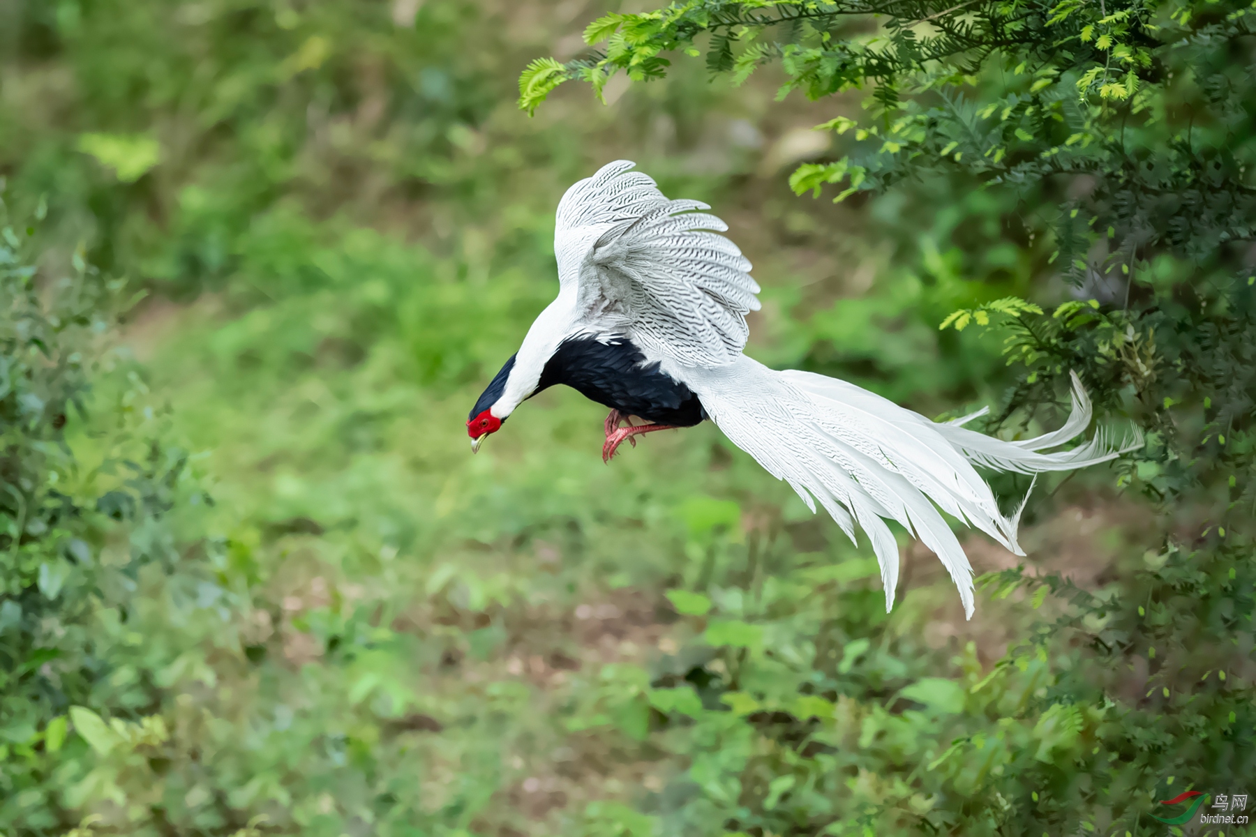DSC_6101-11.jpg