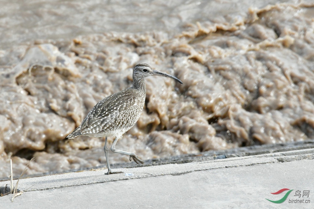 DSC_6057.JPG