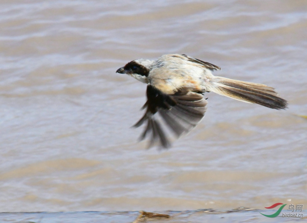 DSC_6110.JPG