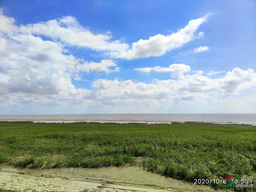 IMG_20201006_105338.jpg
