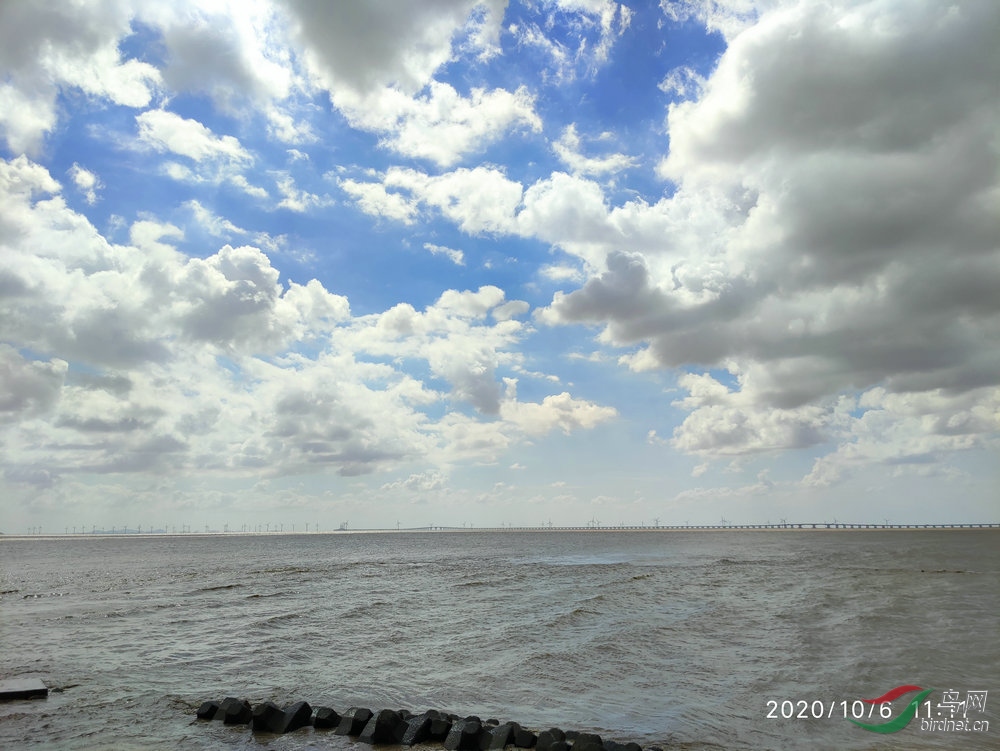 IMG_20201006_111109.jpg