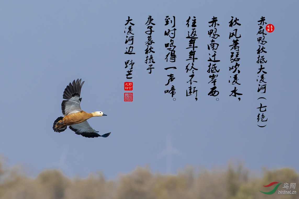 387A8539.jpg