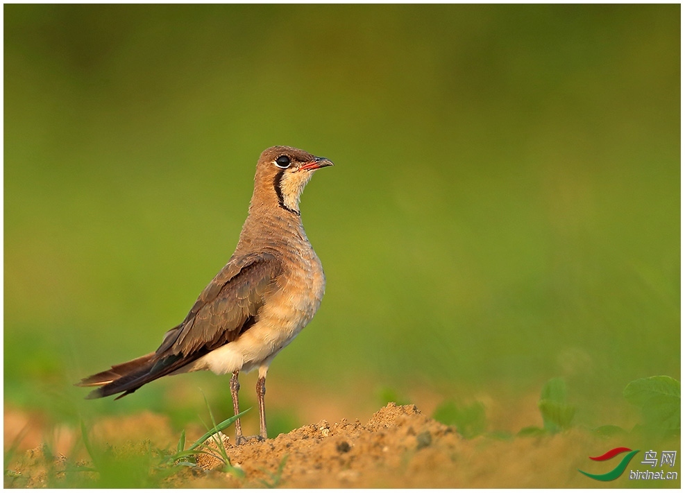 ������ ��ʦ������ɽ��ʡΫ����.jpg