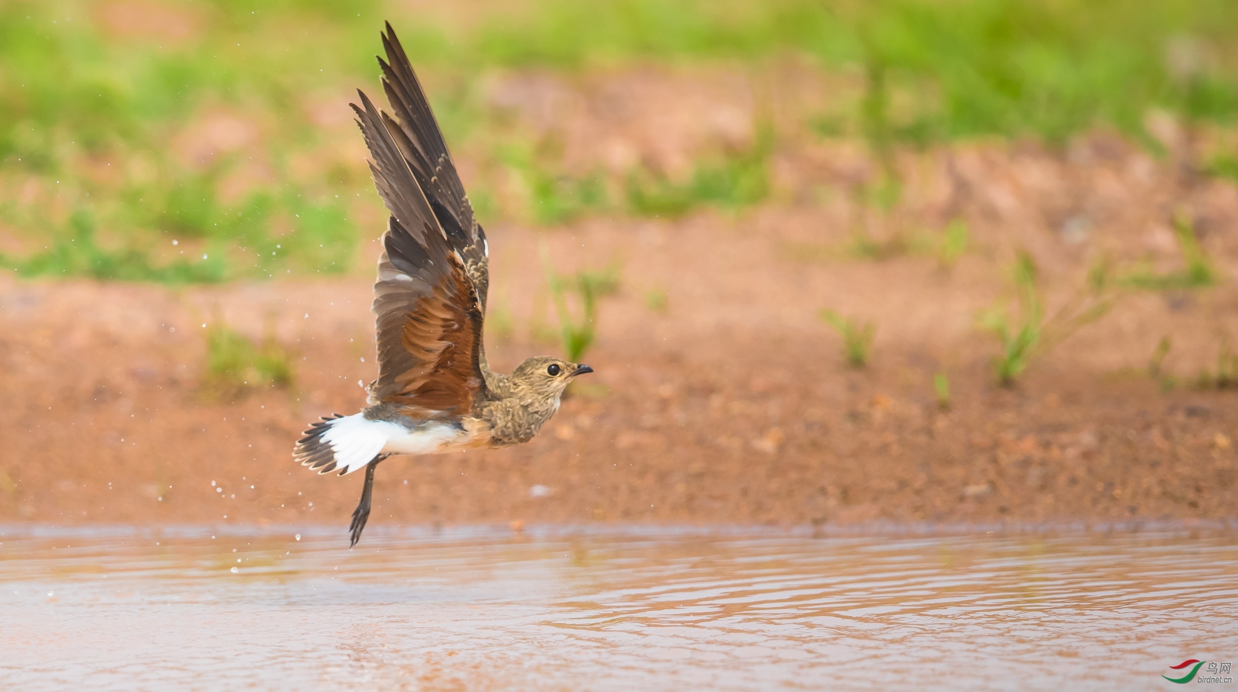 �����~�춣�� ��ʦ�����������.jpg