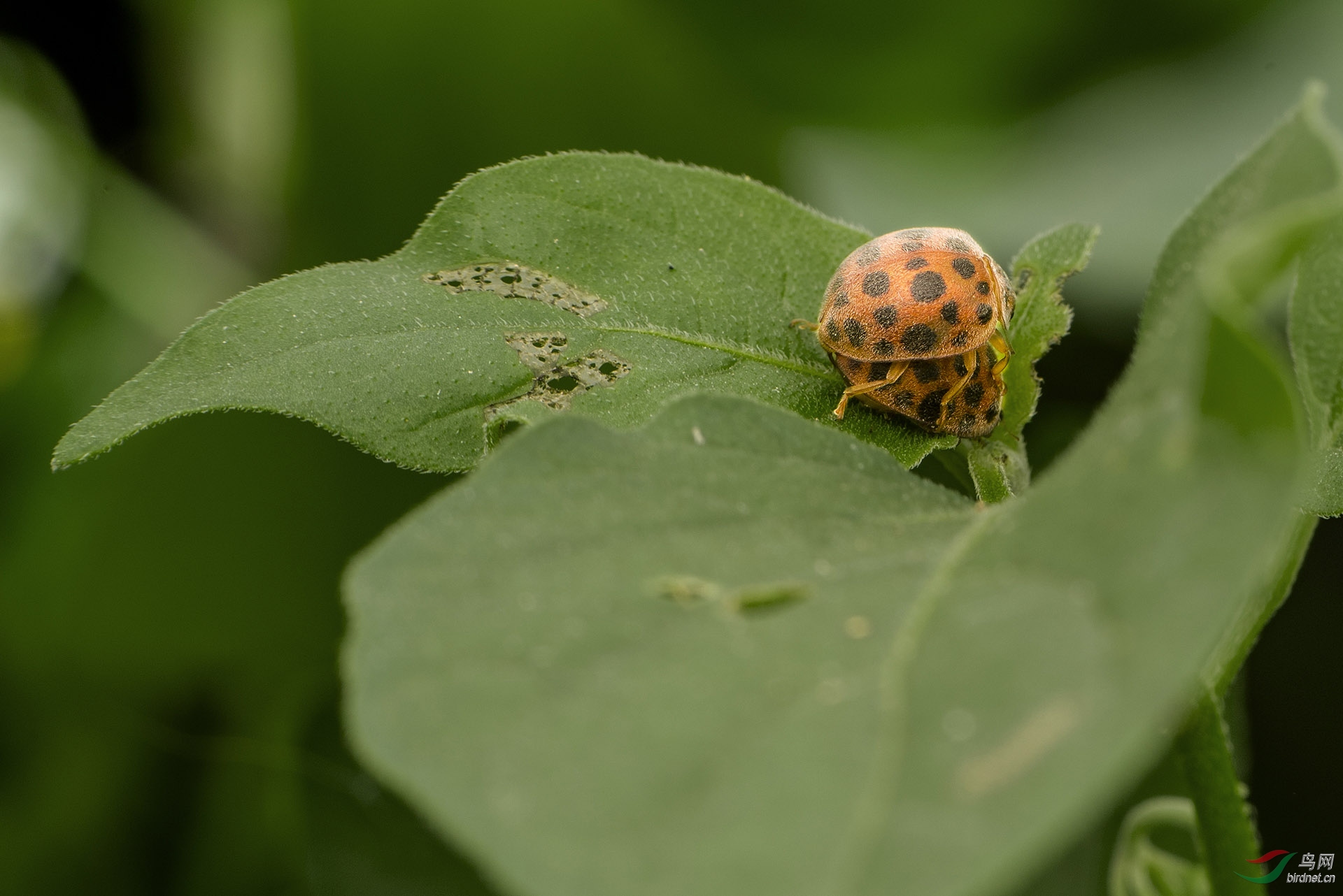 DSC_0157.jpg