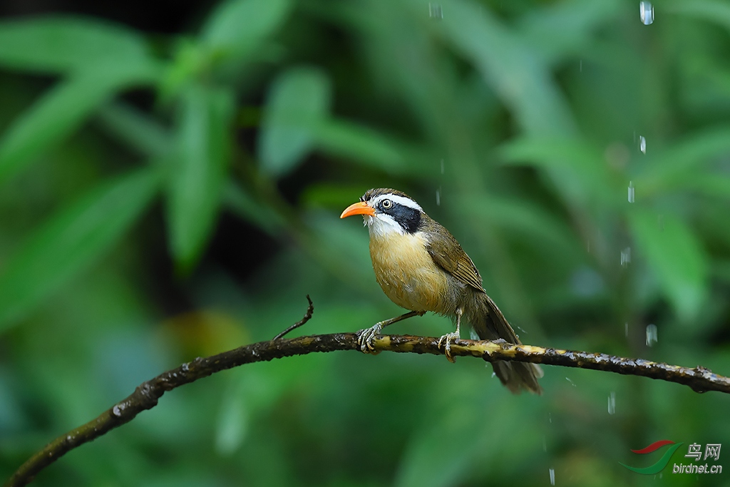 DSC_1787_DxOa.jpg