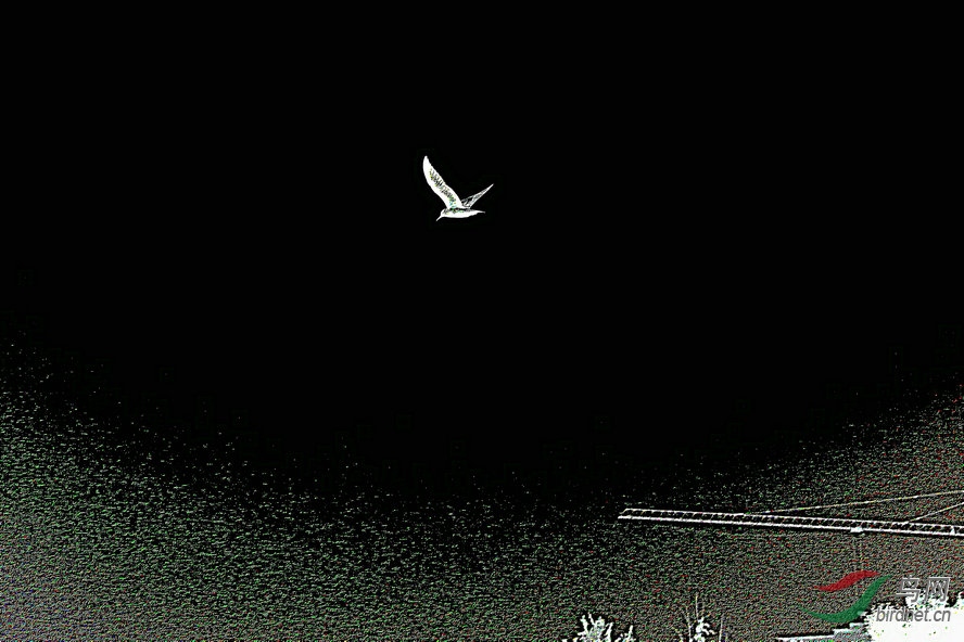 8J6A0147_����_����.jpg
